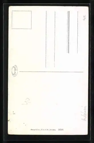 AK Andalusien, Ein spanisches Paar beim Tanz