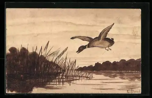 Künstler-AK Handgemalt: Eine Ente fliegt über einen Weiher