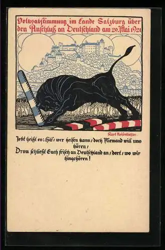 AK Salzburg, Stier rammt Grenzphähle um, Volksabstimmung über den Anschluss an Deutschland am 29.05.1921