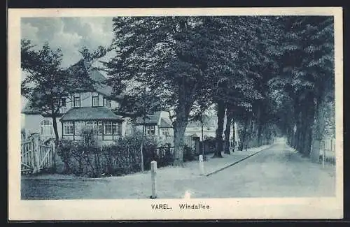 AK Varel / Oldenburg, Strassenpartie Windallee