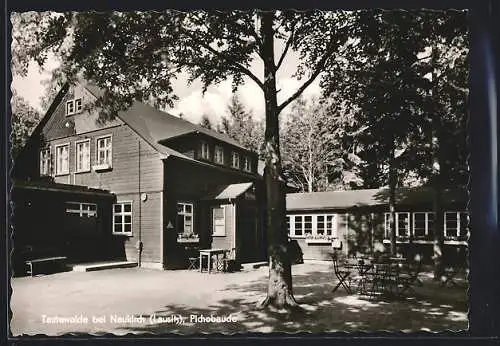 AK Tautewalde bei Neukirch, Gasthaus Pichobaude im Sonnenschein