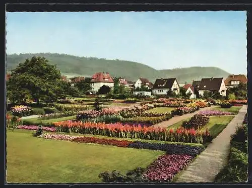 AK Deckbergen, Herbstblüte auf dem Essmannshof