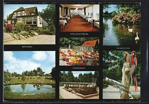 AK Oldendorf b. Hermannsburg, Vogelzoo mit Restaurant, Inh. Theodor Bernd