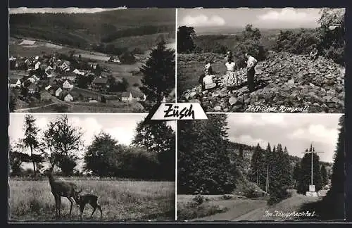 AK Züsch Kr. Trier, keltischer Ringwall, im Königsbachtal, Rehkitz mit Rehkuh