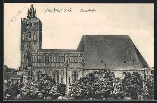 AK Frankfurt / Oder, Marienkirche, Totalansicht