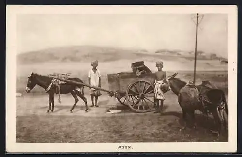 AK Aden, Junge Händler mit Eselskarren