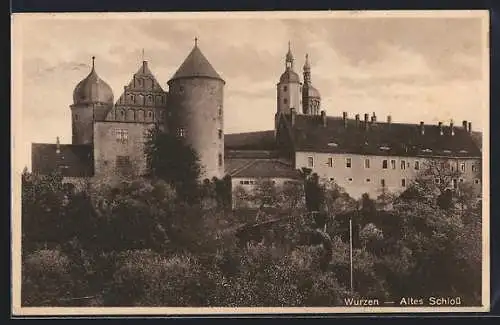 AK Wurzen, Blick auf das alte Schloss in Bäumen