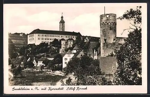 AK Gundelsheim a. N., Kuranstalt und Schloss Horneck