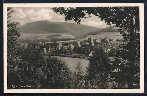AK Bigge /Sauerland, Ortsansicht aus der Vogelschau