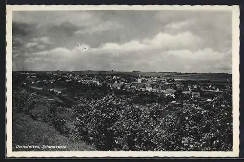 AK Dornstetten, Panorama vom Hügel aus
