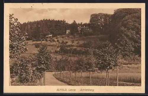 AK Alfeld /Leine, Partie am Schlehberg