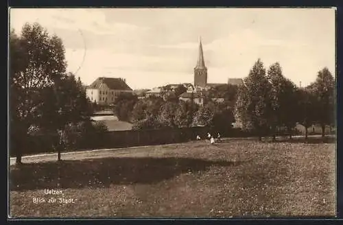 AK Uelzen, Blick zur Stadt