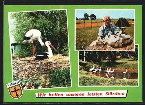 AK Verden - Aller, Niedersächsische Storch Pfelgestation, Ltg. Helmut Storch