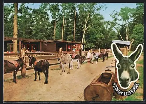 AK Lauenbrück, Eselgehege im Wildpark