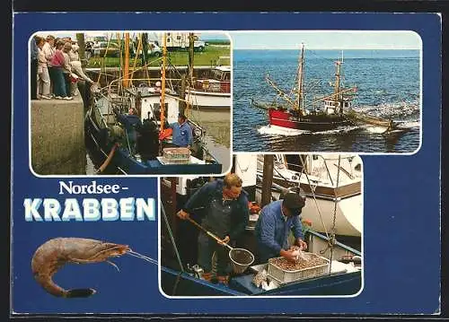 AK Wyk auf Föhr, Fischkutter auf dem Wasser, Krabbenfischer beim Verarbeiten des Fangs