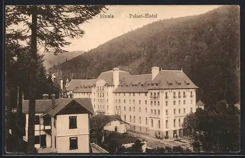 AK Sinaia, Palast-Hotel