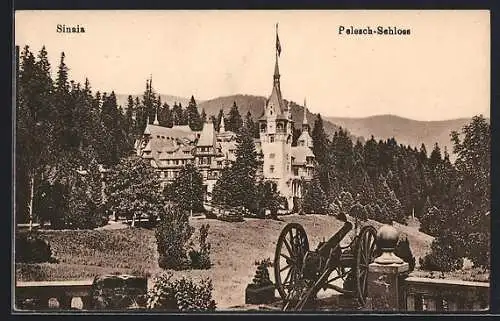 AK Sinaia, Pelesch-Schloss am Waldrand