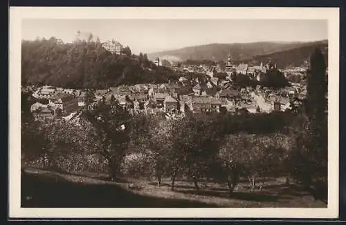 AK Sighisoara-Schässburg, Ortsansicht mit Kirche und Burg auf einem Berg