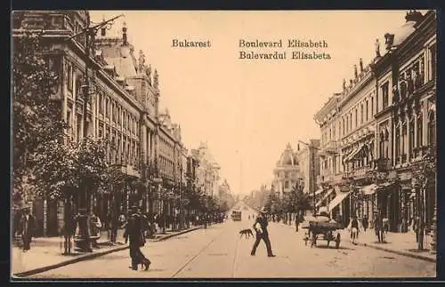 AK Bukarest, Boulevard Elisabeth mit ankommender Strassenbahn
