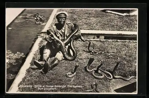 AK Port Elizabeth, Johannes, Quite at Home amongst the Snakes