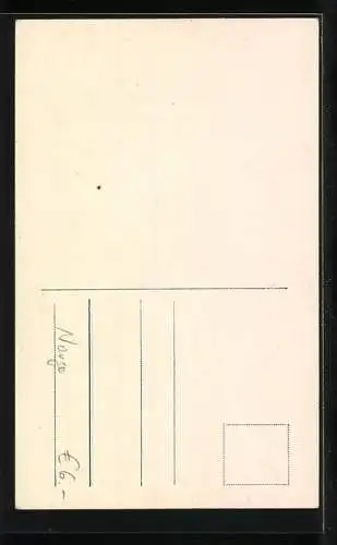 AK Junge in norwegischer Tracht