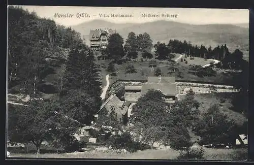 AK Münster /O.-Els., Villa Hartmann und Melkerei Solberg