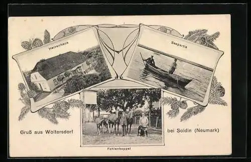 AK Woltersdorf bei Soldin, Herrenhaus, Fohlenkoppel, Seepartie