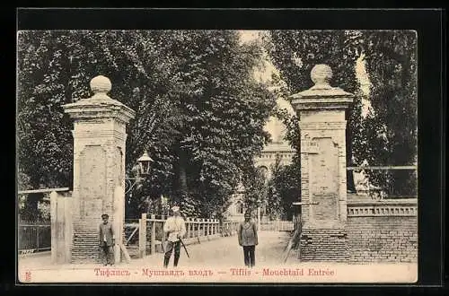 AK Tiflis, Mouchtaid Entrée