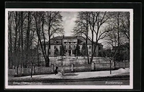 AK Orlau /Oberschlesien, Krankenhaus mit Anlagen