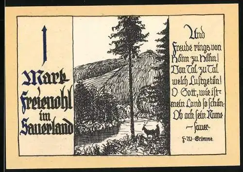 Notgeld Freienohl, 1 Mark, Sauerland, Landschaftsabbildung und Gedicht von F. W. Grimme, Seriennummer 06162