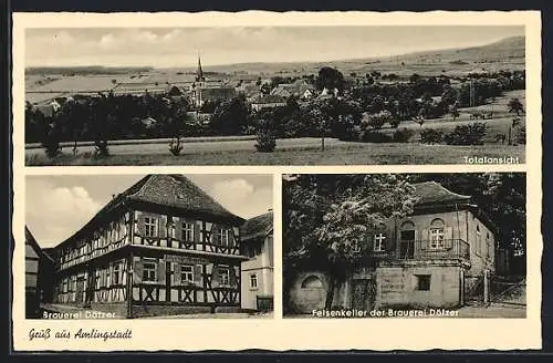 AK Amlingstadt, Gesamtansicht, Brauerei Dötzer mit Felsenkeller