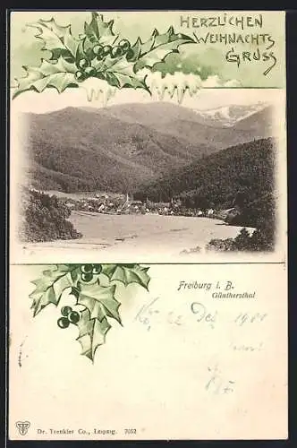 AK Freiburg i. B., Panoramablick auf das Günthersthal