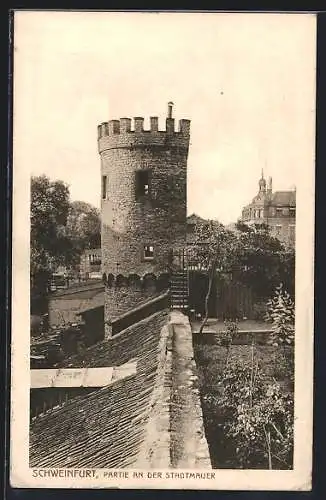 AK Schweinfurt, Partie an der Stadtmauer