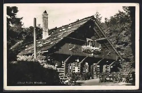 AK Wien, Ob.-St. Veit, Alfred Doll`s Weinhaus, Stock im Weg