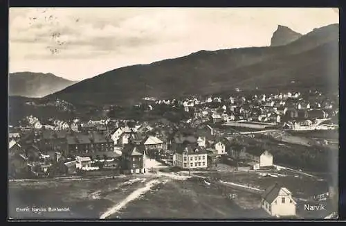 AK Narvik, Panorama