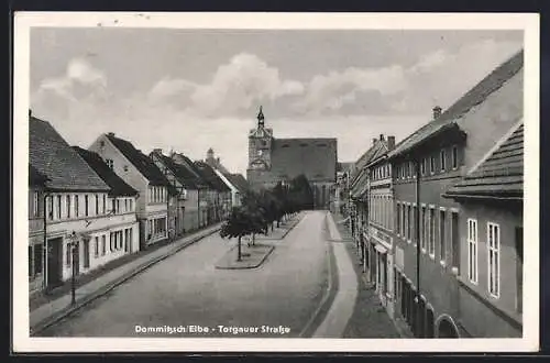 AK Dommitzsch / Elbe, Torgauer Strasse