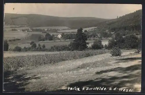 AK Bursfelde a. d. Weser, Totalansicht