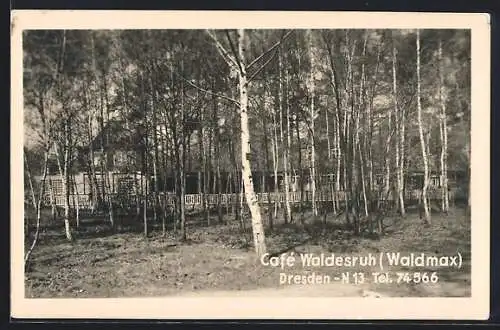 AK Dresden-Wilschdorf, Café Waldesruh, Waldmax