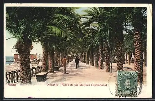 AK Alicante, Paseo de los Martires, Esplanada