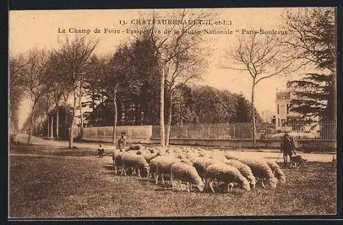 AK Chateaurenault /I.-et-L., Le Champ de Foire