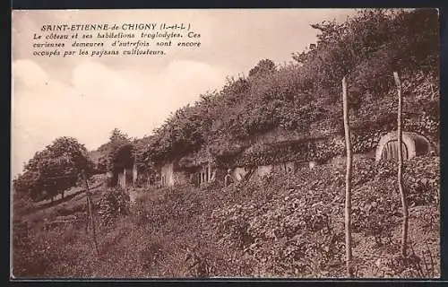 AK Saint-Etienne-de-Chigny, Le coteau et ses habitations troglodytes