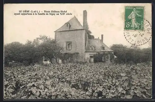 AK La Liège /I.-et-L., Vieux Chateau feodal ayant appartenu a la famille de Signy