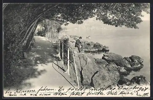 AK Abbazia, Lorbeerbäume am Nordstrand