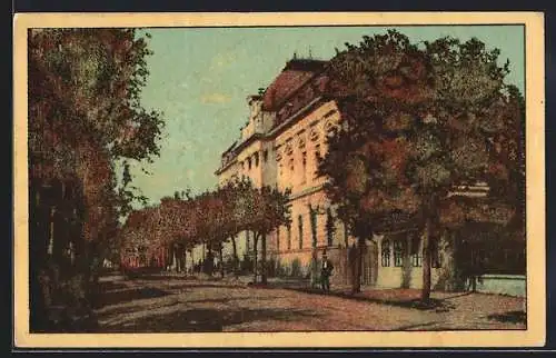 AK Braila, Palatul Administrativ