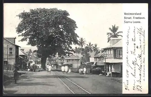 AK Freetown, Westmoreland Street