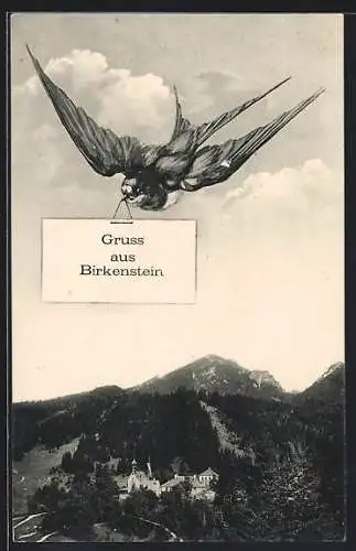 AK Birkenstein, Teilansicht aus der Vogelschau, Schwalbe mit Gruss