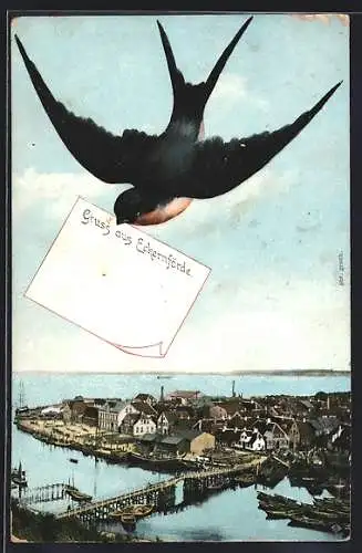 AK Eckernförde, Schwalbe mit Gruss über dem Küstenort
