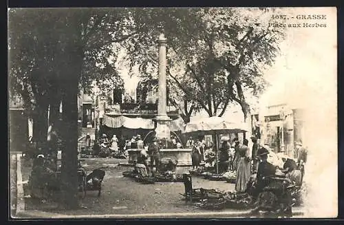 AK Grasse, Place aux Herbes