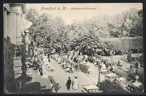 AK Frankfurt-Westend, Die Palmengarten-Terrasse