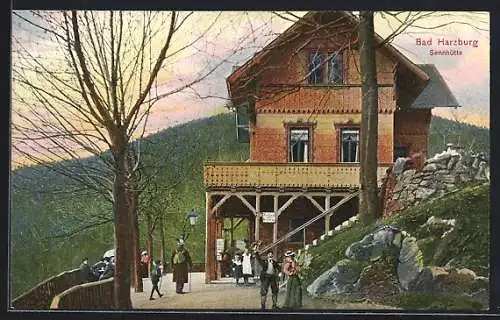 Künstler-AK Bad Harzburg, Sennhütte